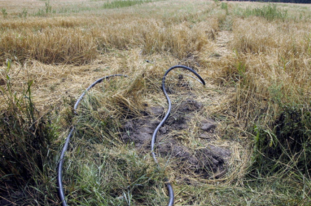 Attēlam ir ilustratīva nozīme.
Autors: Foto no «Bauskas Dzīves» arhīva