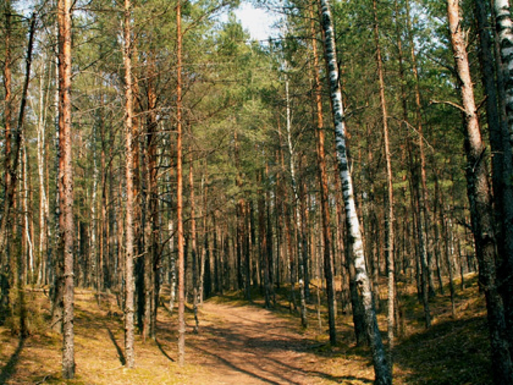 Fotoattēlam ilustratīva nozīme.
Autors: www.balozi.lv