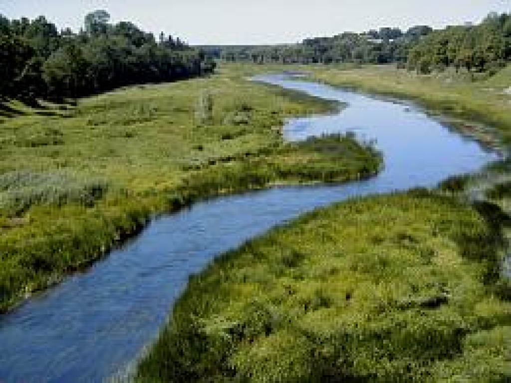 Mūsa
Autors: No albuma.