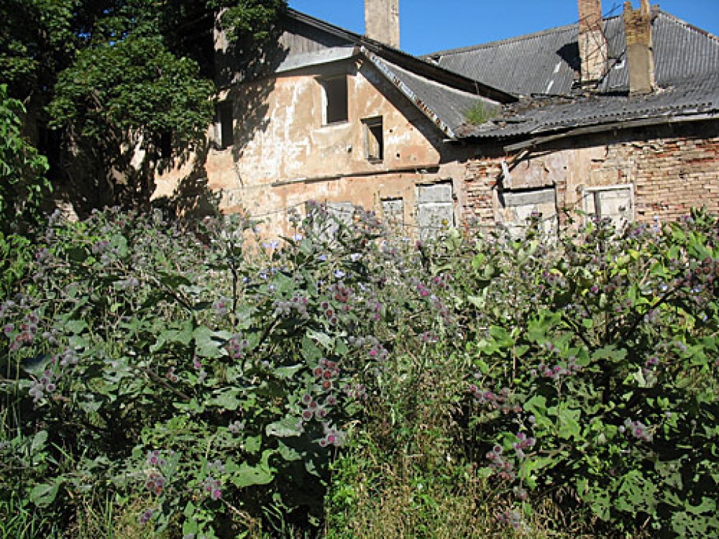 Bauskas centrs, līdz Rātslaukumam pārdesmit metru, taču Rīgas un Saules ielu stūrī īpašums ieaudzis dadžos, pagalms drazu pilns.
Autors: Vilnis Auzāns