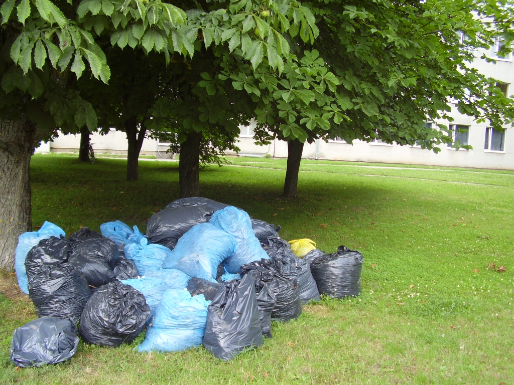 Autors: Aculiecinieka foto.