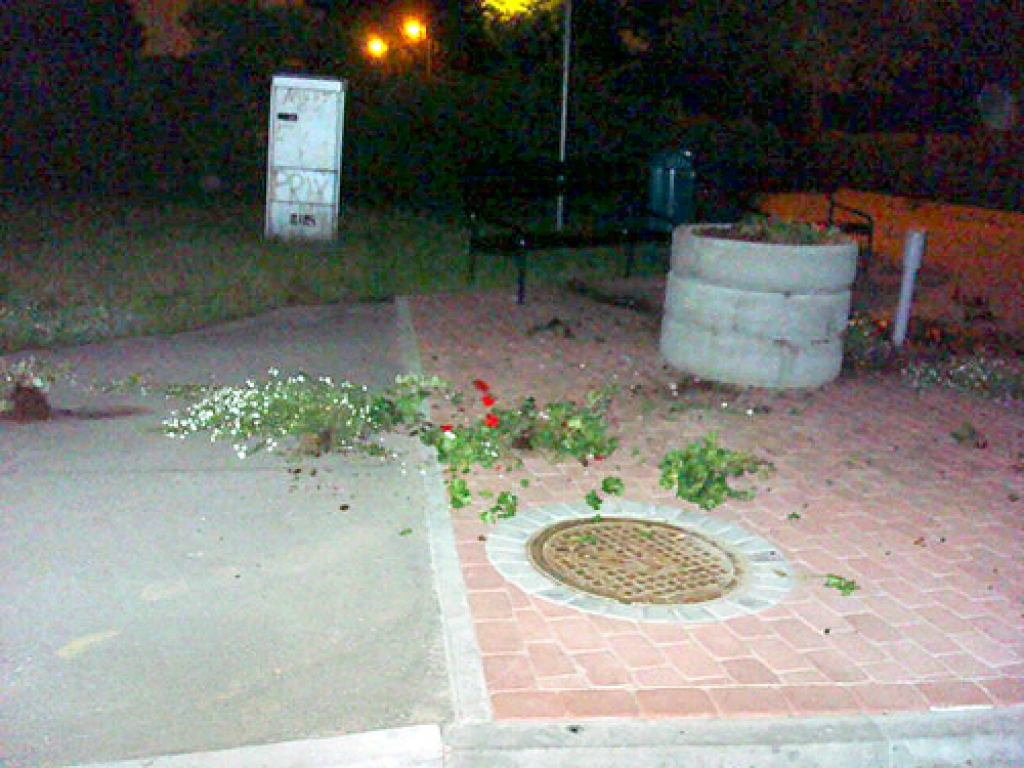 Autors: Aculiecinieka foto