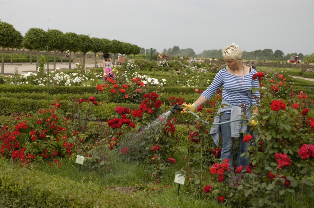 Autors: Ivars Bogdanovs