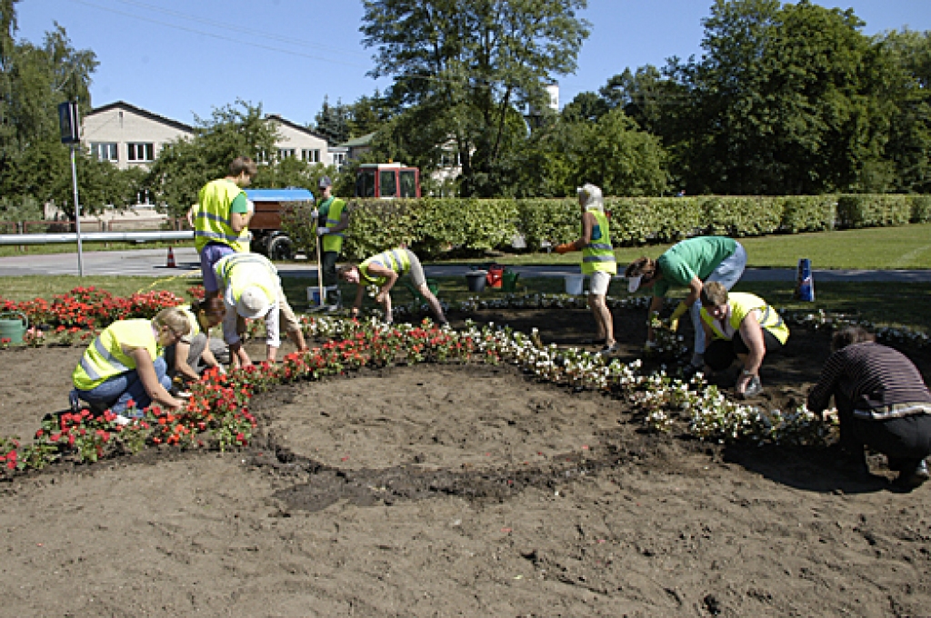 SIA «Vides serviss» strādnieki ierīko puķu stādījumus Dārza un Zaļās ielas krustojumā. 
Autors: Ivars Bogdanovs