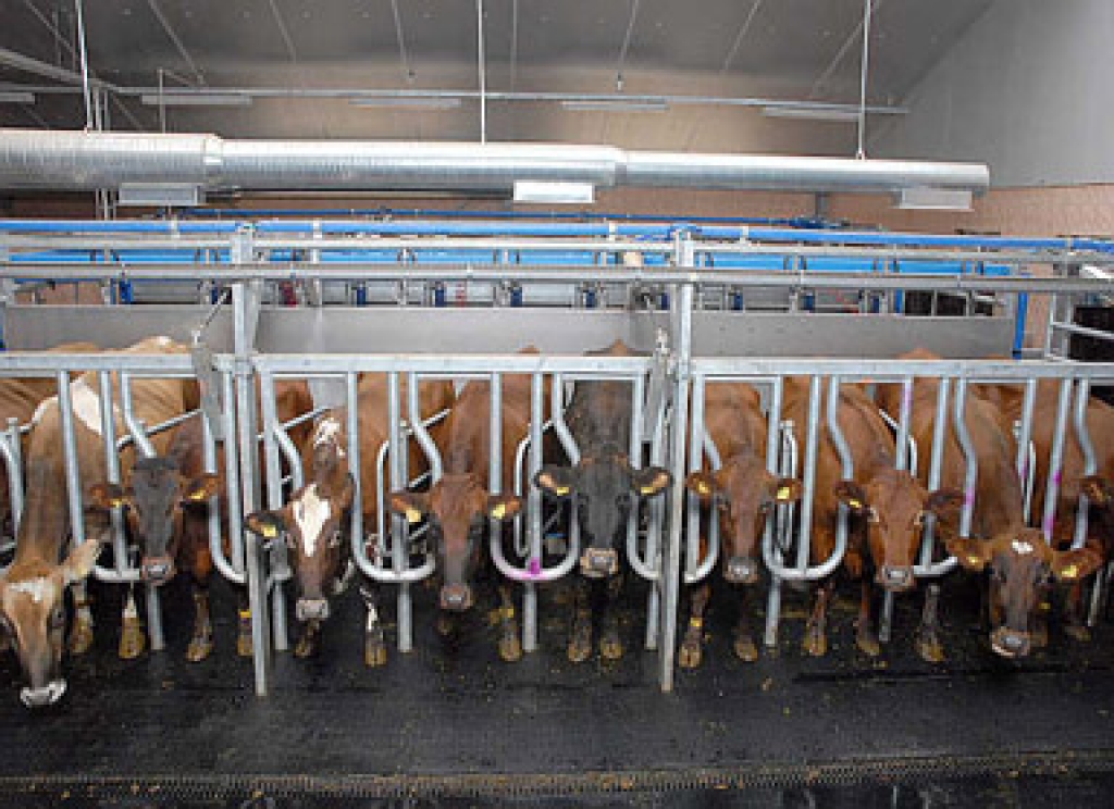 Fotoattēlam ilustratīva nozīme.
Autors: www.2.la.lv