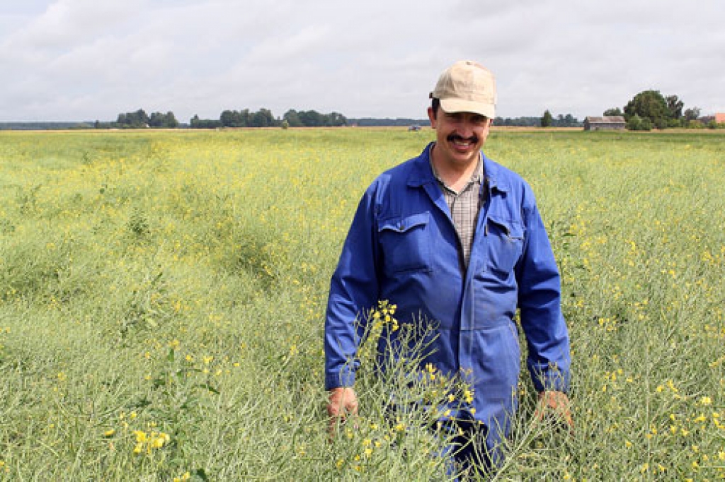 Codietis Arnolds Jātnieks priecājas, ka šīgada sausums nav ietekmējis vasaras rapšu lauku.
Autors: no «Latraps» arhīva