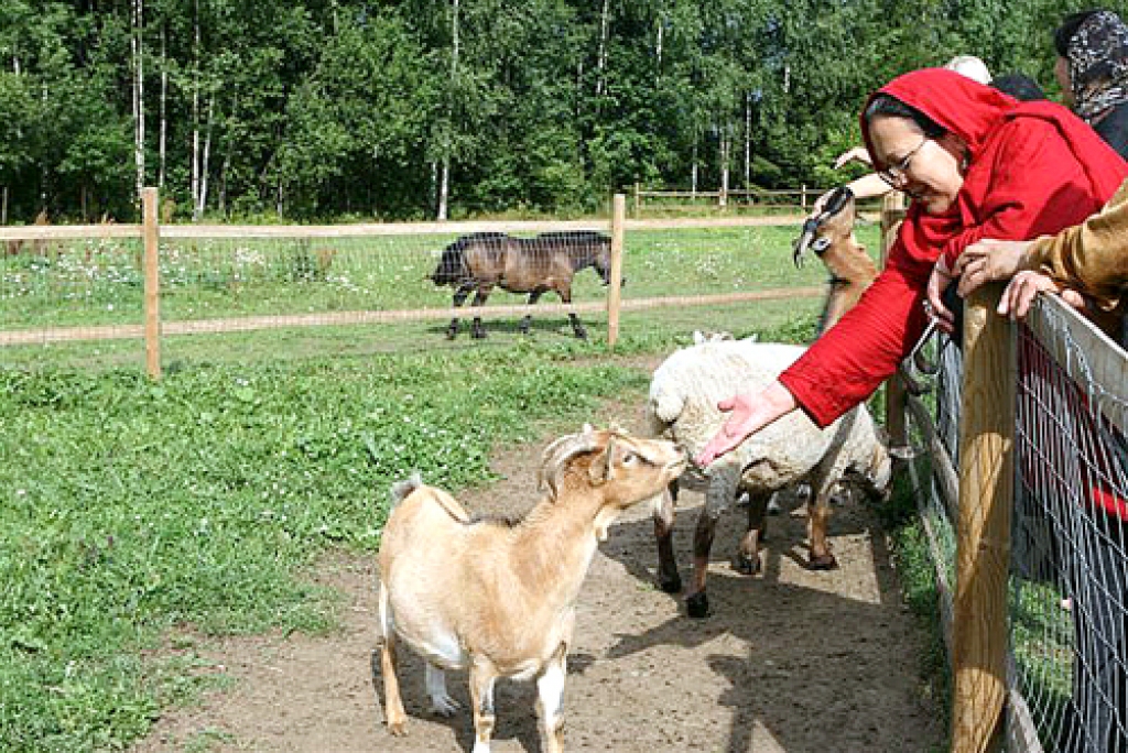 Afganistānas sievietes uzņēmējas apmeklē minizoodārzu «Dobuļi» Iecavas novadā.
Autors: Mārīte Šperberga