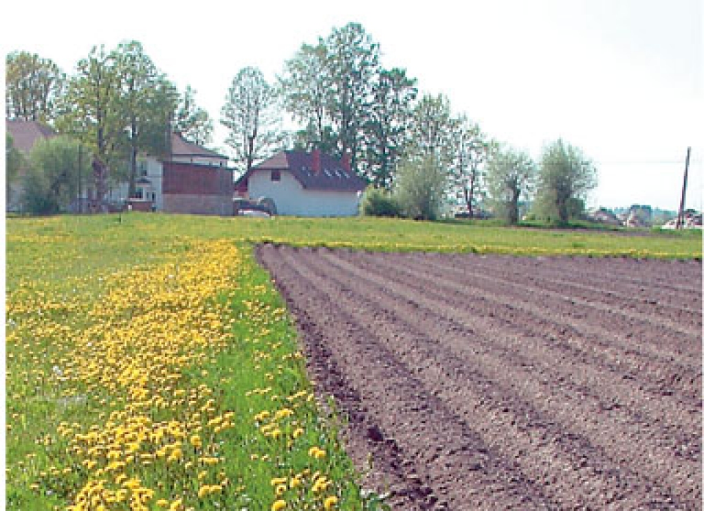 Dokumentu kārtošanai, lai izpirktu zemi, atlicis tikai nepilns mēnesis.
Autors: www2.la.lv