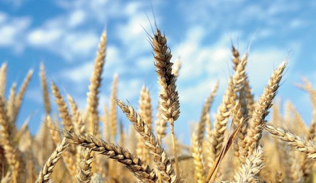 Attēlam ir ilustratīva nozīme.
Autors: jauna.diena.lv