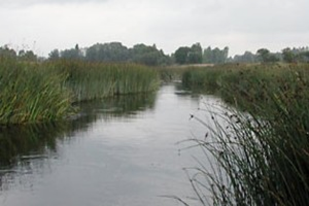 Autors: No «Bauskas Dzīves» arhīva.