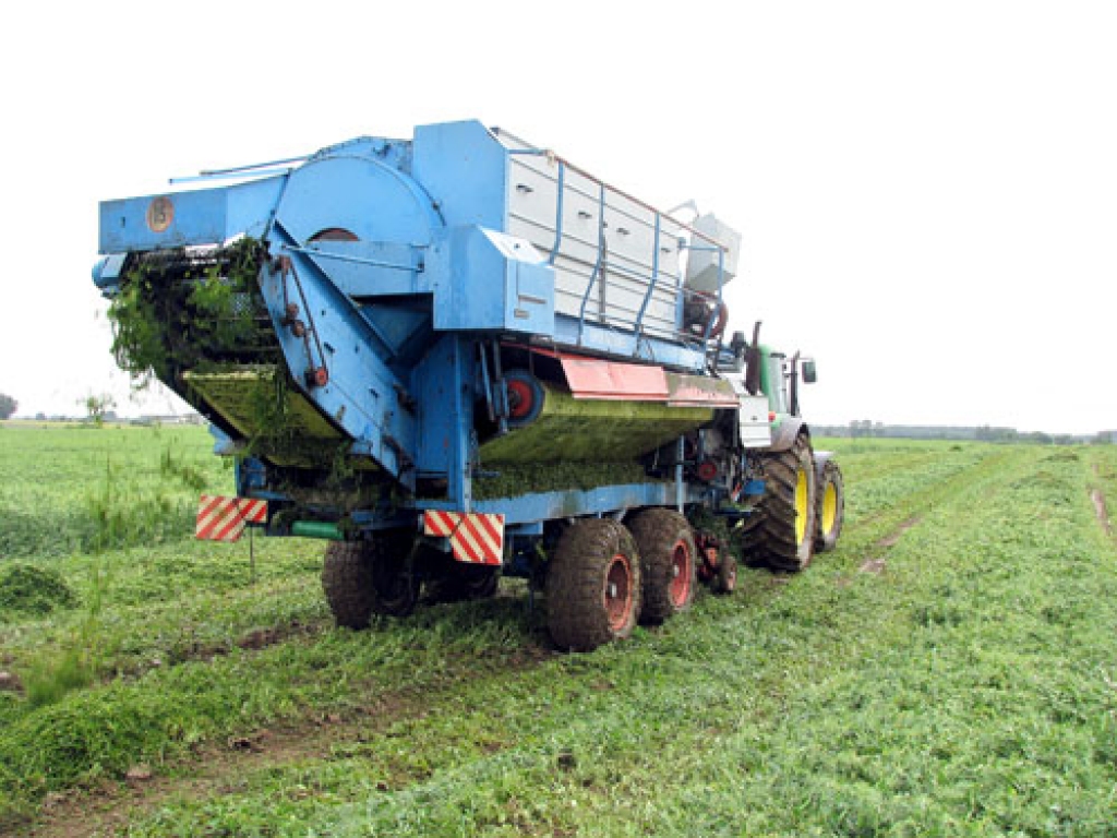 Codes pagasts ir vienīgais Latvijā, kur var redzēt zirņu laukus, kas iesēti pārstrādei pārtikas ražošanas uzņēmumā.