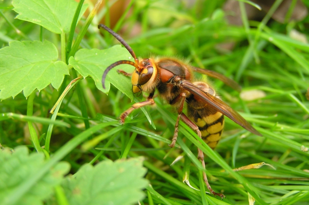 Attēlam ir ilustratīva nozīme.
Autors: photo2.poga.lv