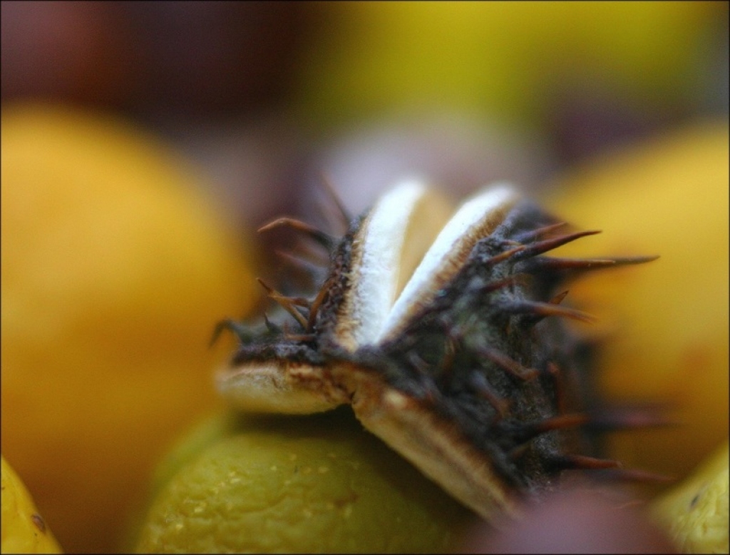 Fotoattēlam ilustratīva nozīme.
Autors: www.photobucket.com