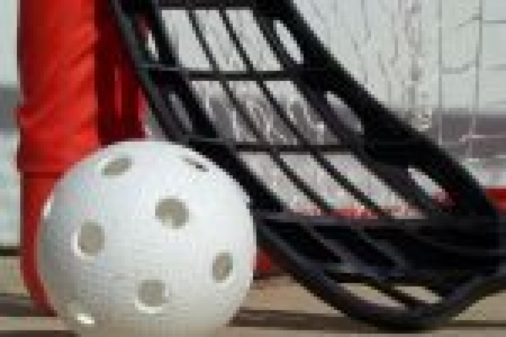 Autors: www.florbolazinas.lv