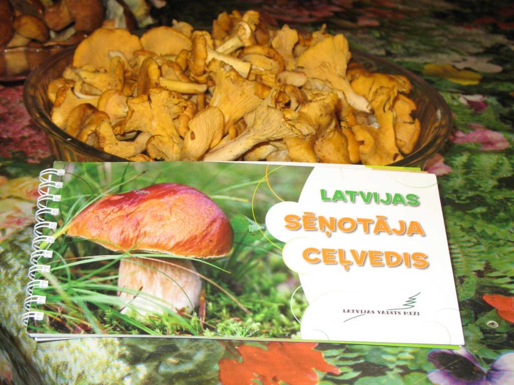Katrs sacensību dalībnieks līdz ar paša salasīto sēņu ražu mājās pārveda arī noderīgas informācijas pilnu bukletu „Latvijas sēņotāja ceļvedis”. 
Autors: Vilnis Auzāns