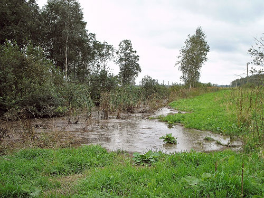 Vides speciālisti secinājuši, ka piesārņojums pa grāvju sistēmu līdz Misas upei nav nokļuvis.
Autors: No albuma.