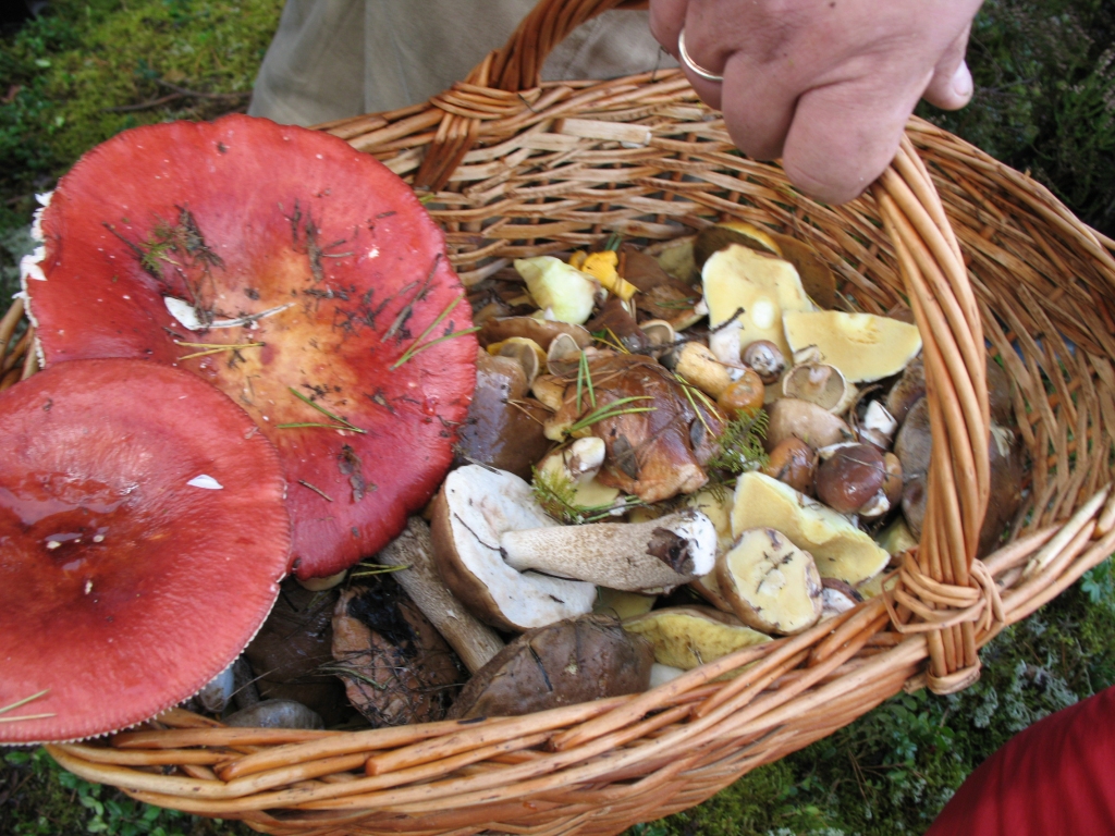 Autors: No «Bauskas Dzīves» arhīva.