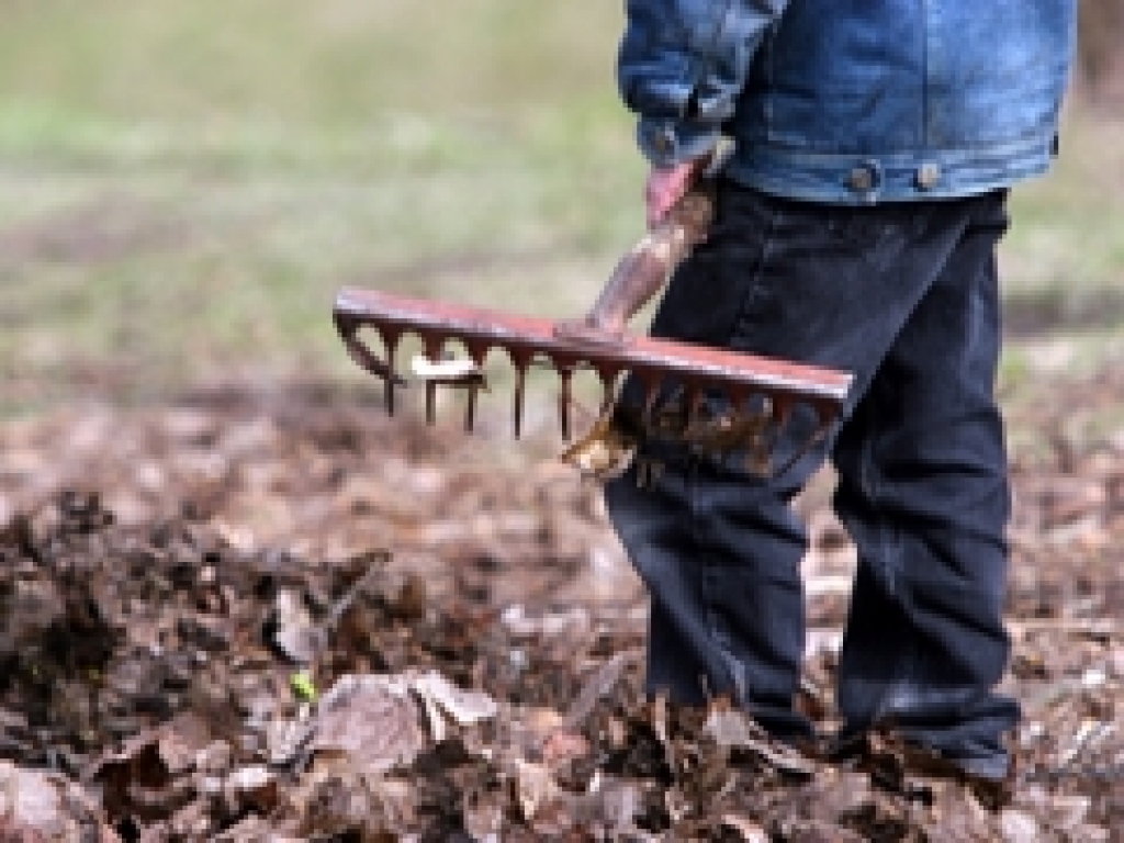 Fotoattēlam ilustratīva nozīme.
Autors: www.lv90.lv; Gatis Dieziņš, AFI