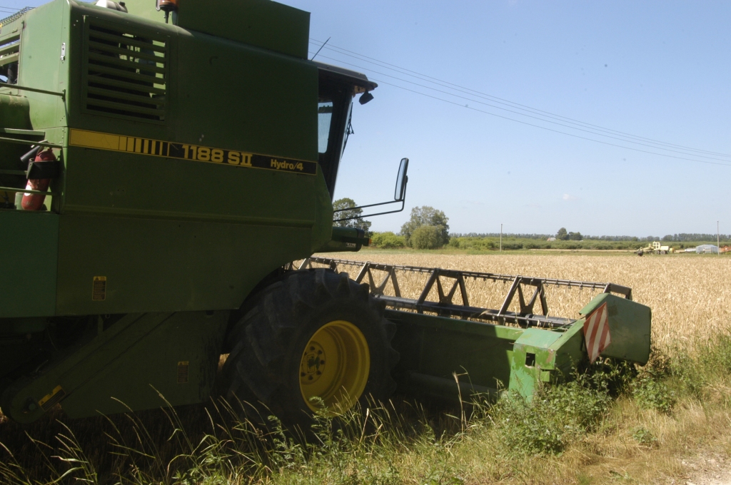 Fotoattēlam ilustratīva nozīme.
Autors: No «Bauskas Dzīves» arhīva.