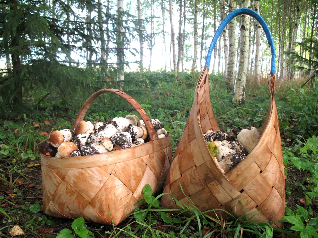 Autors: Vilnis Auzāns