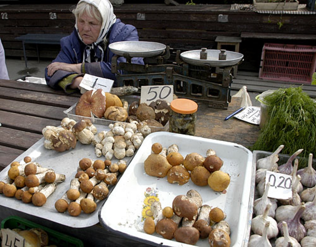 Ilga Ķirvele tirgū piedāvā Ceraukstes mežos salasītas sēnes.
Autors: Ivars Bogdanovs