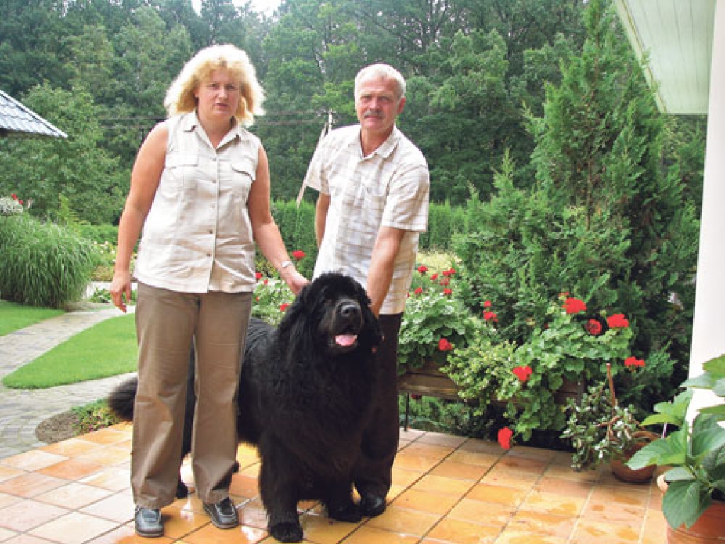 Iecavnieki Jānis un Saira Komisari par savu ņūfaundlendieti teic: «Kad fotografējamies kopā, ir nedaudz dīvaini – Eltons ir pieredzējušākais fotomodelis, veroties objektīvā, tam patīk izrādīties.»