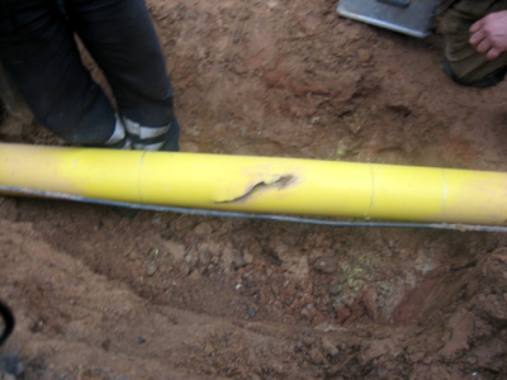 Attēlam ir ilustratīva nozīme.
Autors: novadnieks.lv