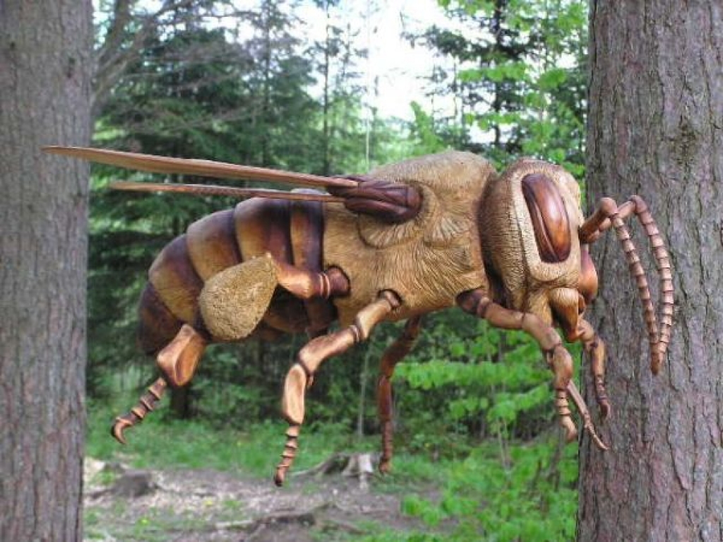 Baušķenieki apmeklēs arī Laumu dabas parku.
Autors: www.latviatourism.lv