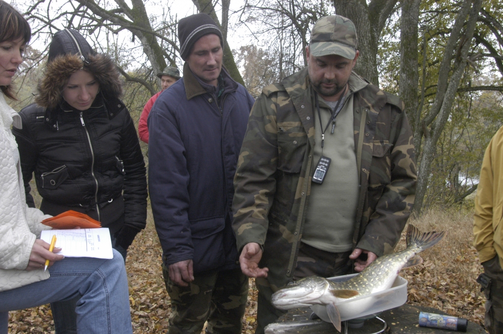 Pagājušā gada sacīkšu uzvarētāja Ivara Butkus (no labās) zaļsvārce iekārtota uz svariemm
Autors: No «Bauskas Dzīves» arhīva.