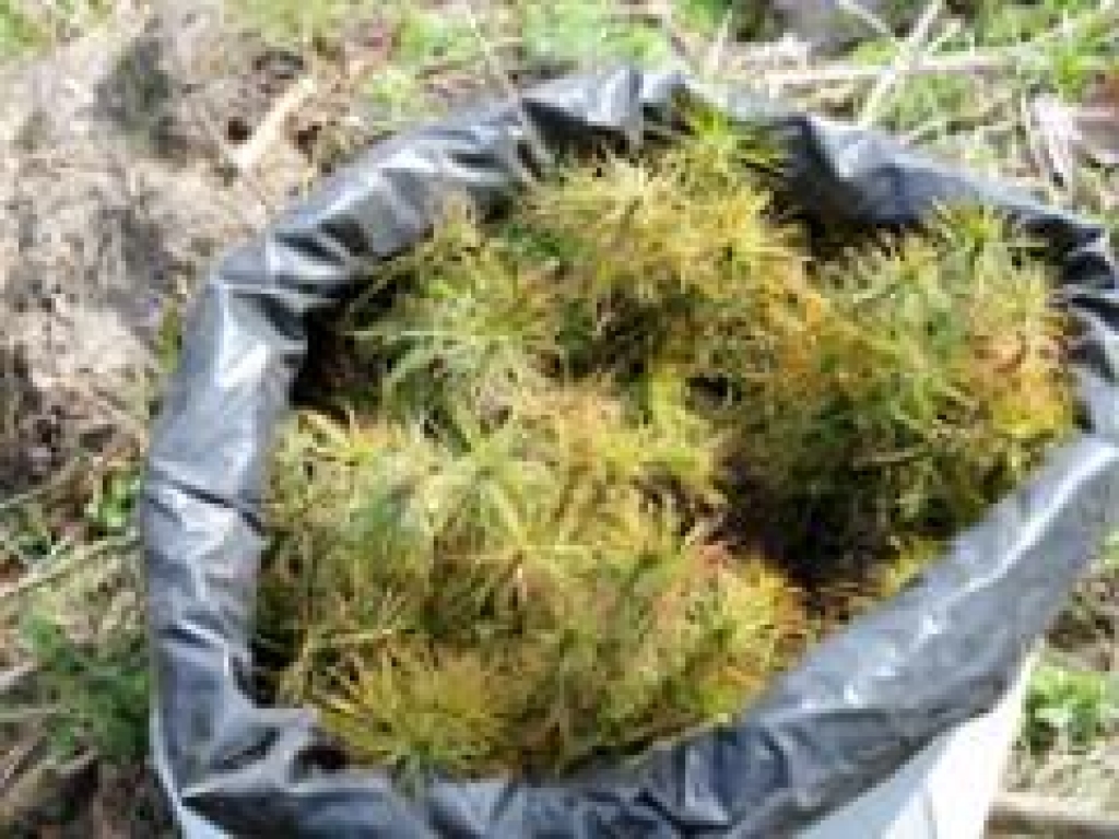 Fotoattēlam ilustratīva nozīme.
Autors: LETA