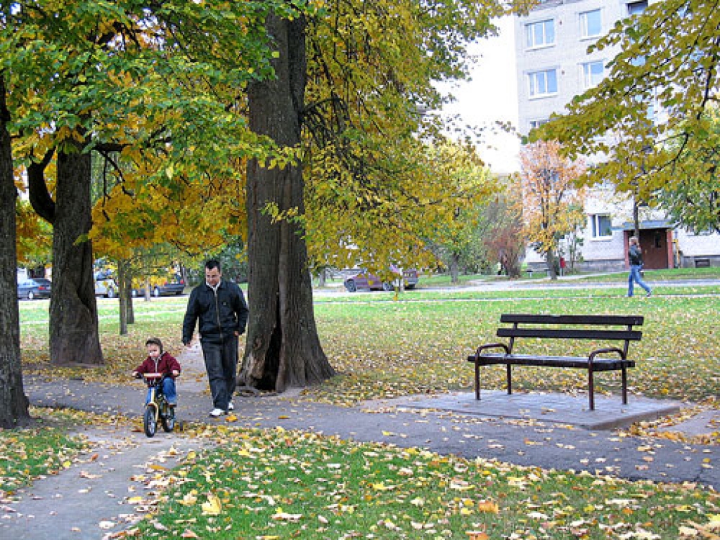 Acīmredzot šiem diviem kokiem Korfa dārzā 16. oktobrī būs lemts krist no zāģa zobiem.
Autors: Vineta Šilberga