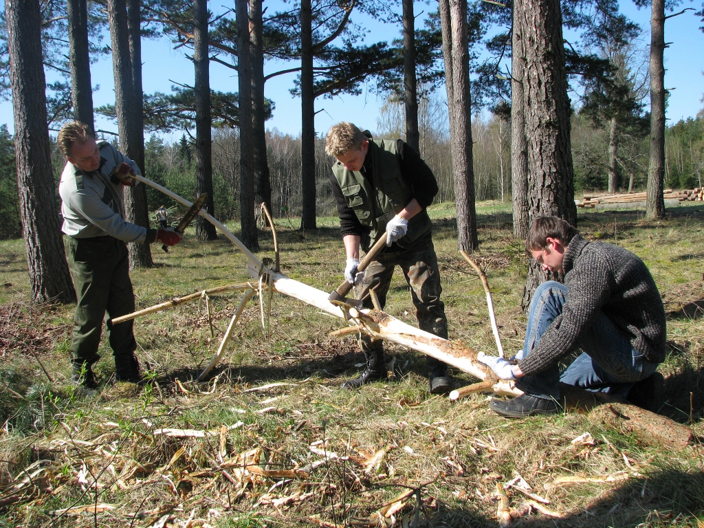 Atbalstu ir iespējams saņemt arī pēc meža atjaunošanas, kad ir izcirsti mazvērtīgi koki.
Autors: no «Bauskas Dzīves» arhīva