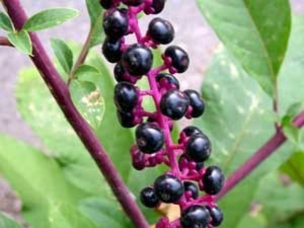 Fotoattēlam ilustratīva nozīme.
Autors: www.tvnet.lv