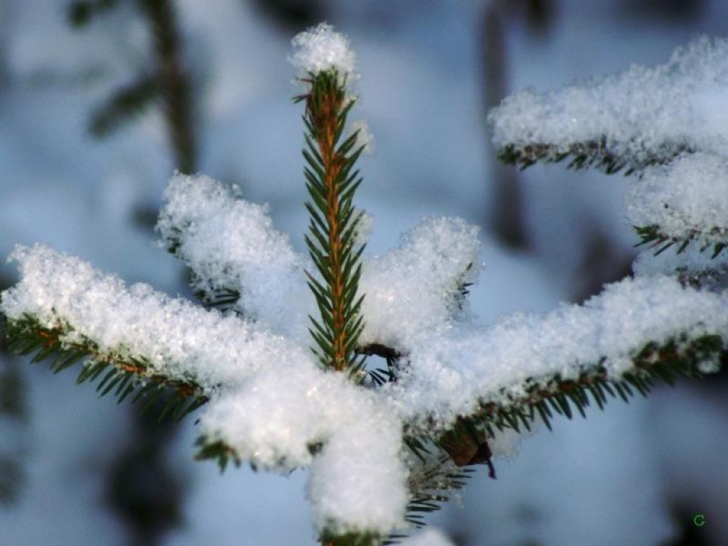 Autors: photo2.poga.lv