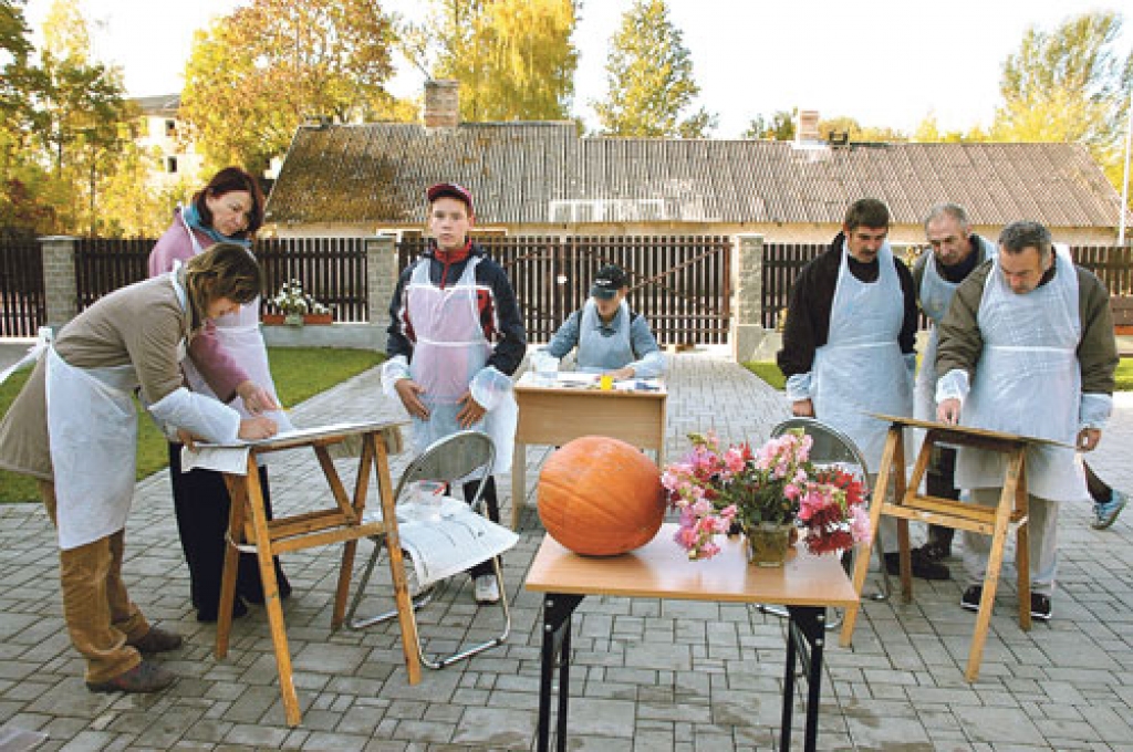 Centrs «Ābele» iepriekš rīkojis plenērus Bauskas pilskalnā, kur katrs varēja izvēlēties savu ainavu, ko atveidot. Šoreiz visiem bija viens uzdevums – tvert kluso dabu.