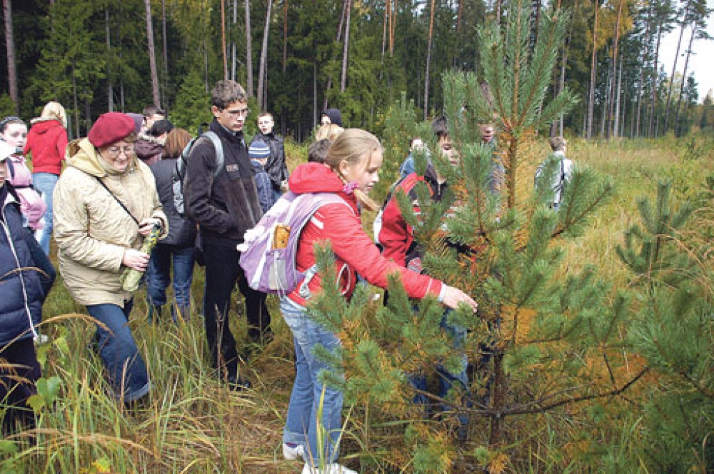 Meža inteliģences takā Vecsaules pamatskolas audzēkņiem bija jāatbild uz dažādiem neparastiem jautājumiem, vajadzēja noteikt arī priedes vecumu.