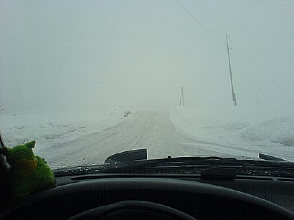 Autors: www.iauto.lv