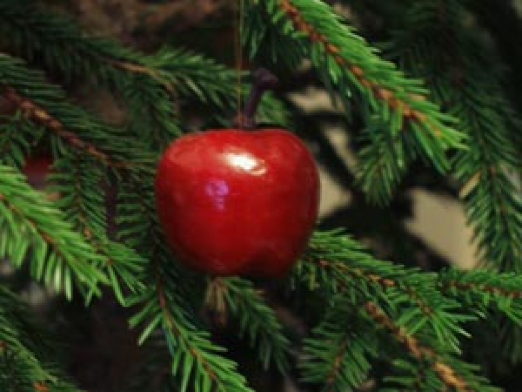 Autors: www.apollo.lv