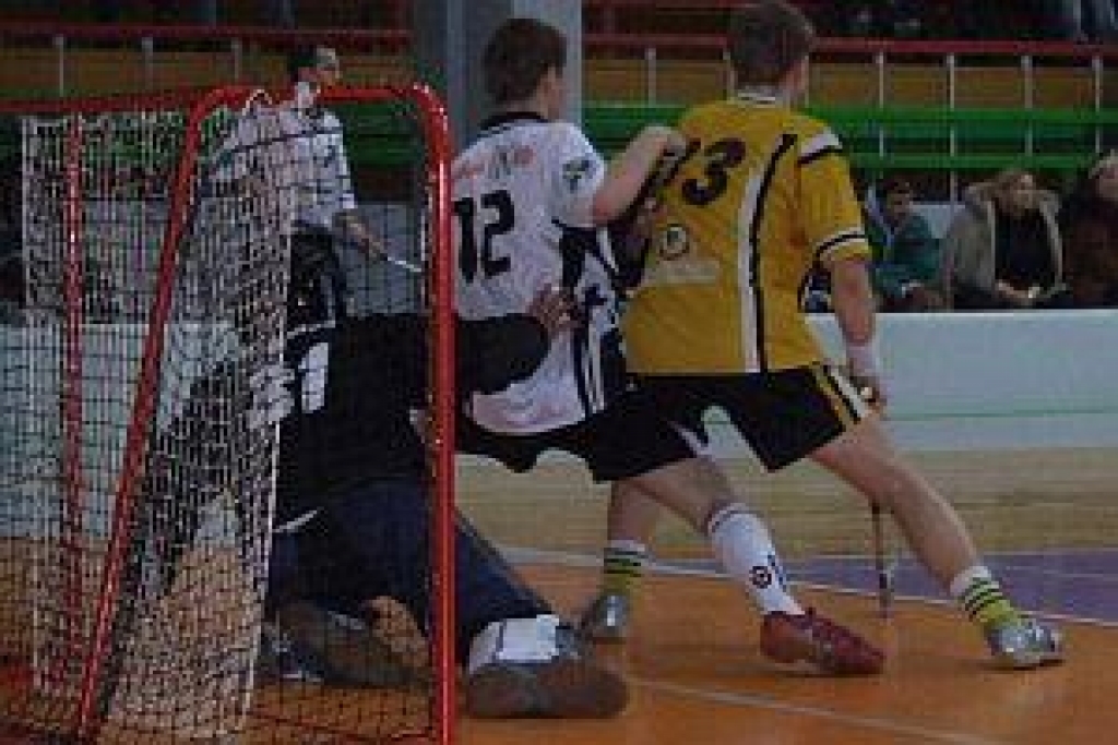 Autors: www.florbolazinas.lv