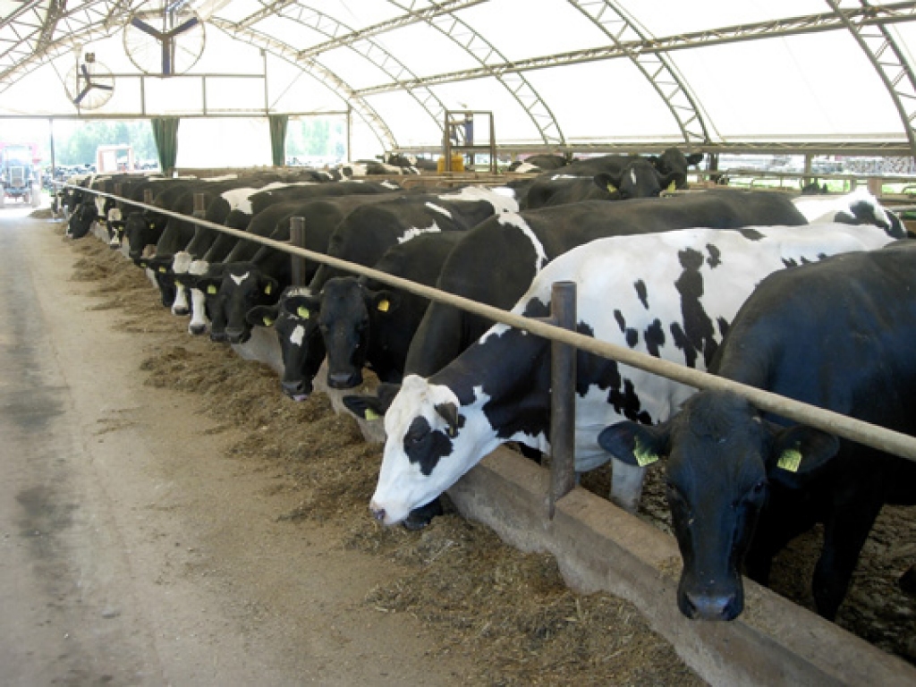 Fotoattēlam ilustratīva nozīme.
Autors: www.koceni.lv