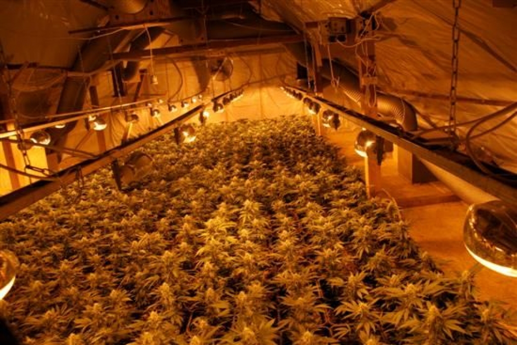 Autors:  Valsts policija