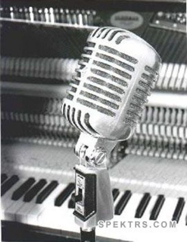 Fotoattēlam ilustratīva nozīme.
Autors: www.spektrs.com