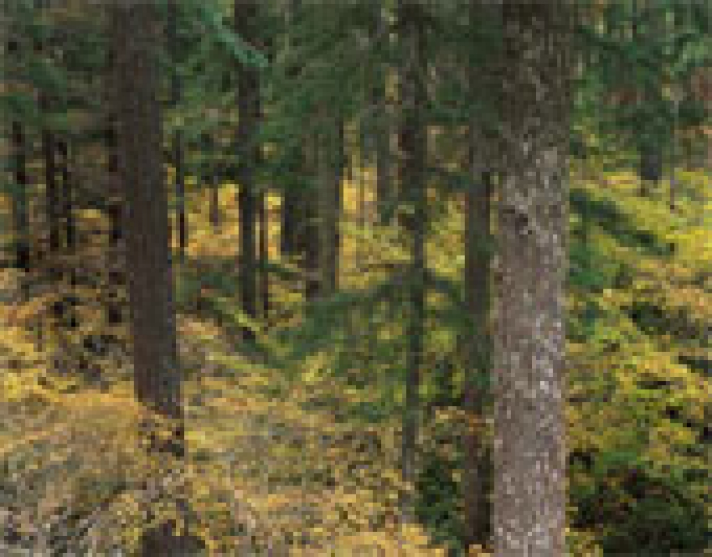 Fotoattēlam ilustratīva nozīme.
Autors: www.fotosearch.lv