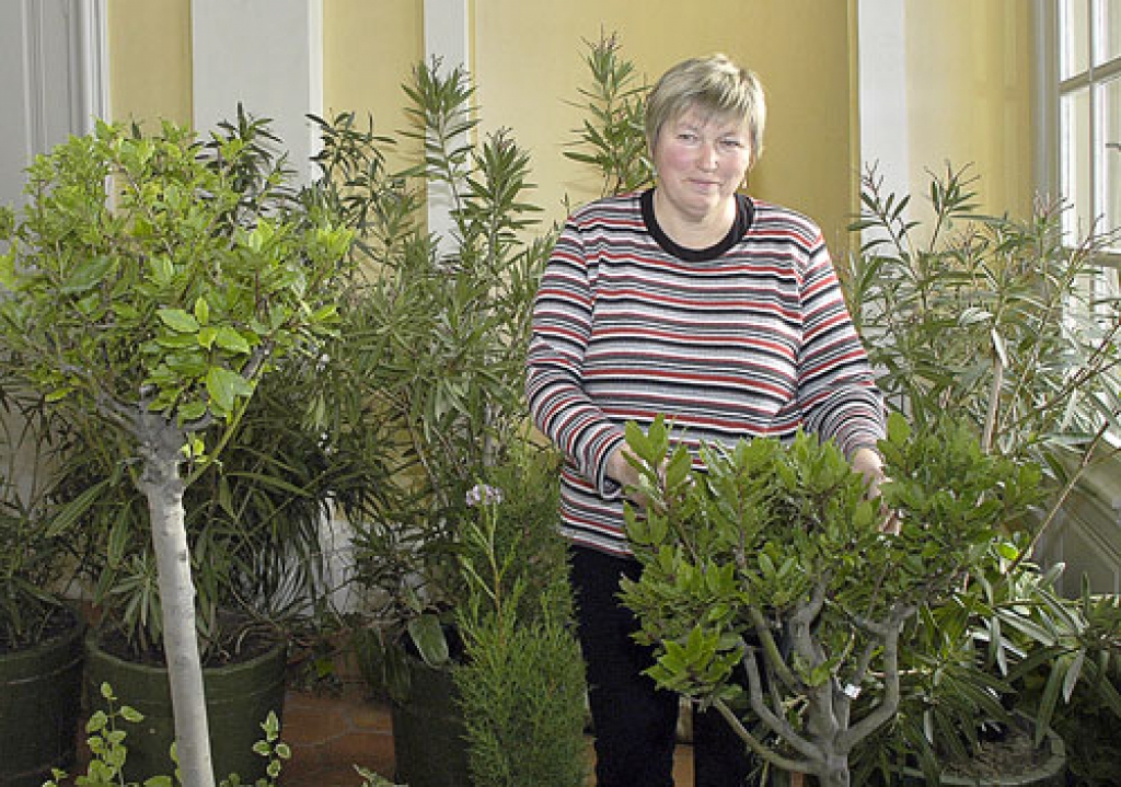 Jubilāre Māra Sietiņa ar savu rūpju bērnu – lauru kociņu.