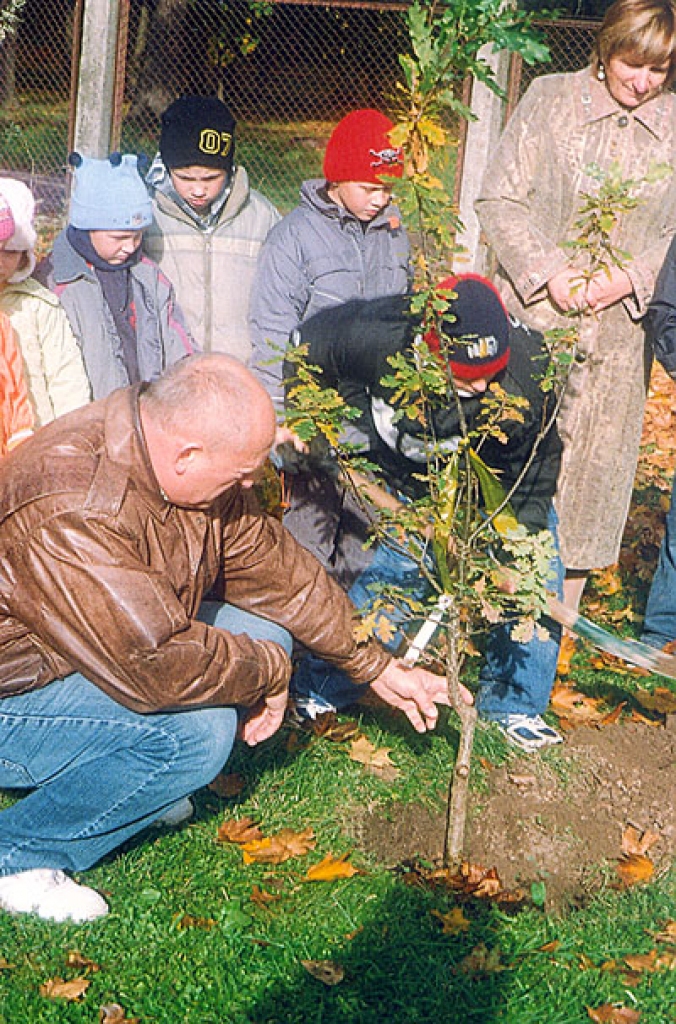 Rūpīgu roku dēstīts, ozoliņš nu kuplos Bērsteles pamatskolas pagalmā.