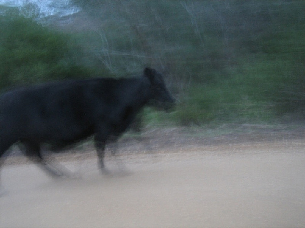 Fotoattēlam ilustratīva nozīme.
Autors: farm2.static.flickr.com