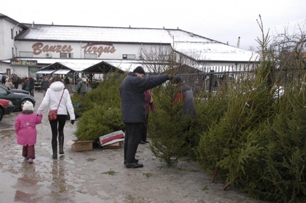 Autors: Ivars Bogdanovs