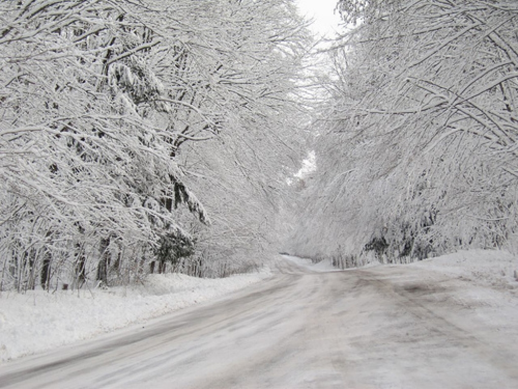 Autors: farm3.static.flickr.com