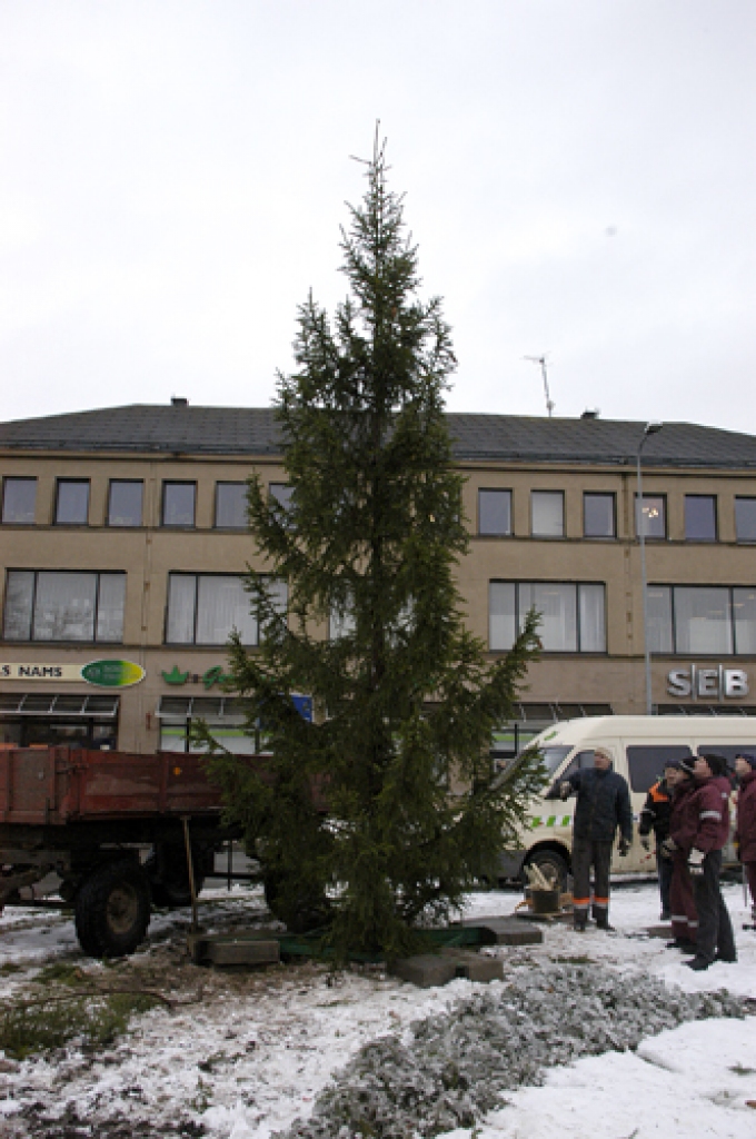 Egli kalna ielas aplī pirms pāris dienām uzstādīja SIA «Vides serviss» darbinieki.
Autors: Ivars Bogdanovs