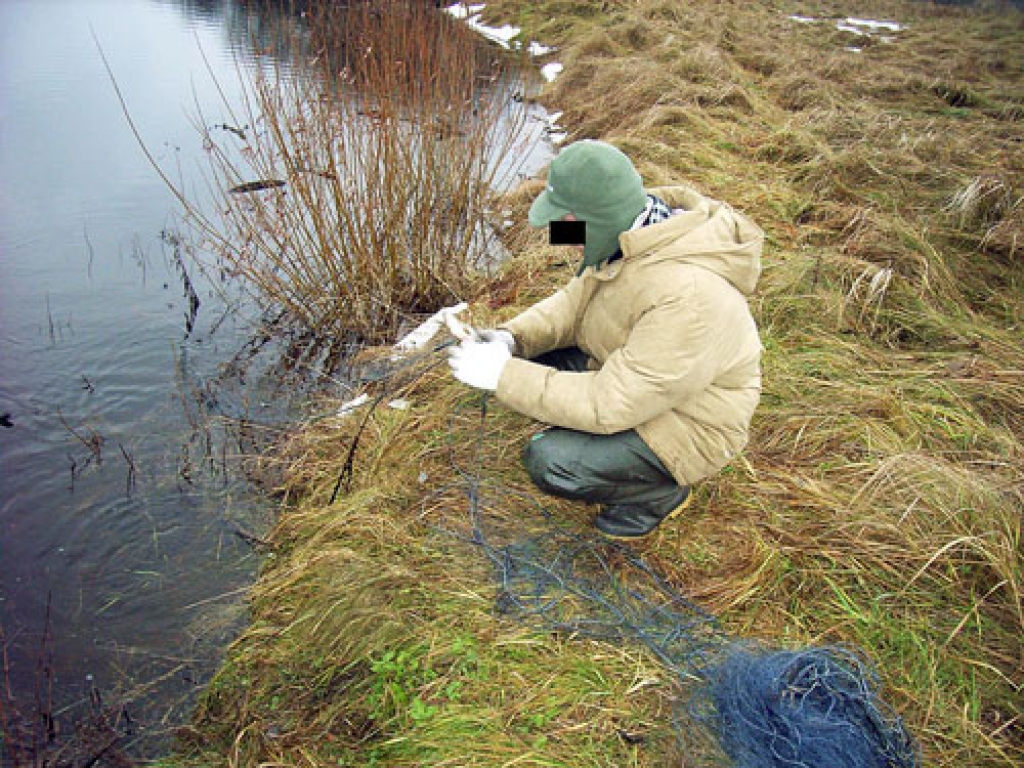 Pāris zivtiņu noķeršanai izmantot tīklu nav prāta darbs. Šoreiz šis maluzvejnieks ir pieķerts Misas krastā.